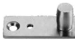 Top Pivot for Patch Point Fitting Doors
