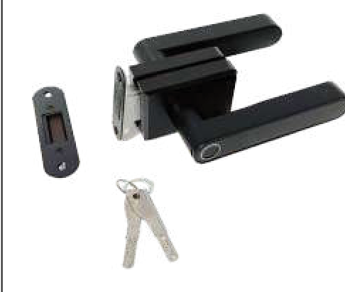 Biometric Mortise Handle With Lock